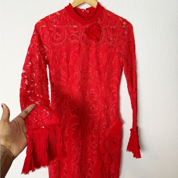 Alexis Fala Dress in Red Lace - Picture 3 of 8